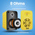 5.25” 2-Way Indoor/Outdoor Speaker System - 1/2” High Compliance Polymer Tweeter (Yellow)