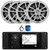 JBL R3500 Marine Bluetooth USB/AUX AM/FM Radio Weather-Resistant Digital Media Stereo Receiver w/Install Adaptor Plate, 4x 6.5" 225W Max High-Performance 2-Way Speakers, Radio Antenna, Speaker Wire