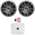 One Pair (QTY 2) Of JBL Stage Marine 10" 600 Watt Max Power Gray Marine Audio Subwoofer, 1200 Watt Max Power Mono Class D Boat Amplifier, 8 Gauge Amplifier Wiring Kit