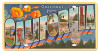 Greeting From California License Plate 12 x 6 Inches