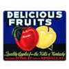 Delicious Fruits Quality Apples Vintage Metal Sign 15 x 12 Inches