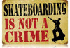 Retro Skateboarding Crime Metal Sign  18 x 12 Inches