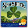 Vintage Shamrock Metal Sign 12 x 12 Inches