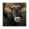 Vintage Cow Face Metal Sign    12 x 12 Inches
