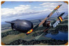 Balloon Buster  Metal Sign 18 x 12 Inches