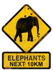 Elephants Crossing Next 10 km Custom Shape Metal Sign 25 x 20 Inches
