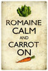 Romaine Calm Carrot Metal Sign 12 x 18 Inches