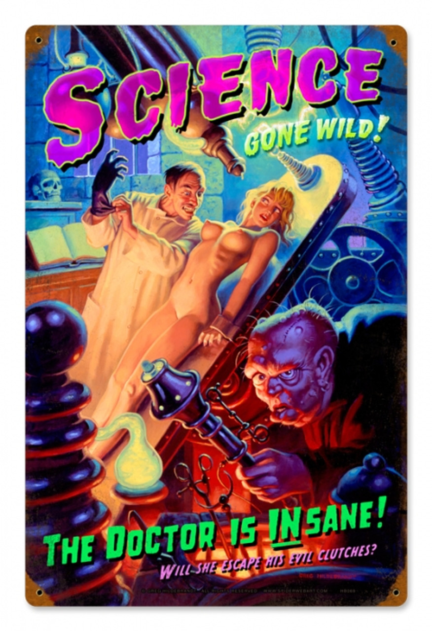 Vintage Science Gone Wild  - Pin-Up Girl Metal Sign 12 x 18 Inches