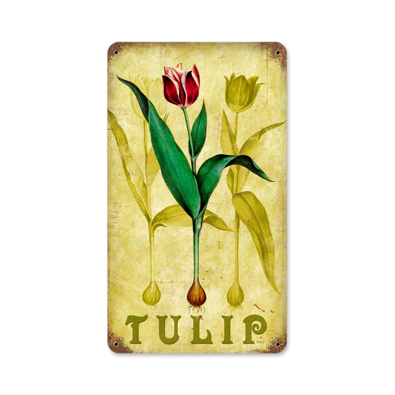 Retro Tulip Metal Sign    8 x 14 Inches