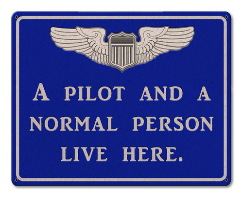 Pilot And Normal Person Metal Sign 15 x 12 Inches