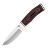 Buck Vanguard Fixed DymaLux Walnut (4.3" 420HC Satin) 0192BRS-B
