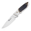 Boker Arbolito Pine Creek 02BA701H fixed blade profile view showing 3.63 inch T6MoV satin drop point blade and stag bone handle with red liners.
