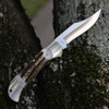 Boker Solingen Optima Stag 113004ST back view highlighting the mirror-polished nickel silver bolsters and lockback spine.