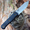 TOPS Dragonfly, 1095 High Carbon Steel, Canvas Micarta Handle
