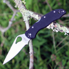 Byrd Harrier 2 (BY01GP2) 3.39" 8Cr13MoV Drop Point Plain Blade, Black G10 Handle