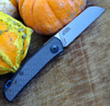 Zero Tolerance 0230, 2.6" CPM 20CV Stonewash Blade, Carbon Fiber Handle