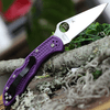 Spyderco C11FPPR Delica 4, 2.875" VG-10 Flat Ground Blade, Purple FRN Handle