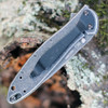 Kershaw Leek Assisted Opening Knife (1660CBBW)- 3.00" Blackwashed Composite Drop Point Blade, Blackwashed 410 Handle