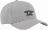 Buck Gray Anvil Cap, One Size