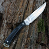 Hen & Rooster Buffalo Horn Skinner, 3.25" Mirror Finish 440 SS Blade, Buffalo Horn Handle