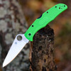 Spyderco Pacific Salt 2 C91FPGR2 with Green FRN handle and plain edge LC200N blade.