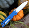 QSP Knife Parrot V2 (QS102D) 3.25" D2 Satin Drop Point Plain Blade, Blue G-10 Handle