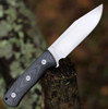 QSP Bison (QS134A) 4.5" D2 Satin Clip Point Plain Blade, Black Micarta Handle, Black Kydex Sheath