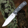 QSP Knife Bison (QS134B) 4.5" D2 Satin Clip Point Plain Blade, Denim Jean Micarta Handle, Black Kydex Sheath