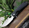 Honey Badger Knives Large Flipper HB1001, 3.63" 8Cr13MoV Satin Drop Point Plain Blade, Black FRN Handle