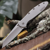 Kershaw Random Leek Assisted Opening Knife (1660R)- 3.00" Stonewashed 14C28N Reverse Tanto Blade, Stonewashed 410 Handle