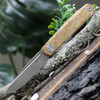 Real Steel Gslip Olive Wood 7841W, 3.46" VG-10 Satin Plain Blade, Olive Wood Handle