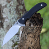 Artisan Cutlery Sea Snake Fixed Blade Knife 1842B-BK, 3.15" AR-RPM9 Satin Wharncliffe Blade, Black G-10 Handle