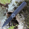 WE Knife Co. Eidolon 19074B-B, 2.87" CPM-20CV Black Stonewashed Dagger Blade, Black G-10 Integral Handles