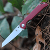 Kizer Cutlery Begleiter (V3458RN3) 2.87" Bohler N690 Satin Reverse Tanto Plain Blade, Smooth Red Canvas Micarta Handle