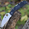 Spyderco Endela Wharncliffe - Blk FRN (3.4" VG-10 Satin) C243FPWCBK