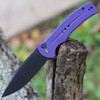 CIVIVI Cogent Folding Knife (C20038D-2)- 3.47" Blackwashed 14C28N Clip Point Blade, Purple G-10 Handle