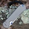 Chris Reeve Sebenza 31 Large Tanto L31-1687 showing glass-blasted titanium handle finish and offset clip.