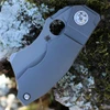 2.78 inch CPM 20CV stonewashed cleaver blade on a Spyderco Stovepipe.