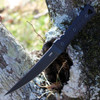 CRKT HZ6 (CR2927) 6.5" SK-5 Black Powder Coated Trailing Point Plain Blade, Black G-10 Handle, Black Boltaron Belt Sheath