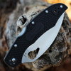 Byrd Cara Cara 2 (BY03SBKWC2) 3.83" 8Cr13MoV Satin SpyderEdge Wharncliffe Blade, Black FRN Handle