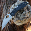 Byrd Meadowlark 2 (BY04SBKWC2) 2.96" 8Cr13MoV Satin SpyderEdge Wharncliffe Blade, Black Fiberglass Reinforced Nylon Handle