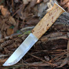 Karesuando Kniven Sami Bjornen Curly Birch (5.13" 12C27) 3514-10