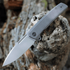 WE Knife Speedster Flipper - Gray Ti (3.5” CPM 20CV Silver BB) WE21021B-1