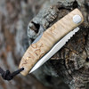 Castillo Listo (C4CUB) 2.5" Sandvik 14C28N Satin Drop Point Blade, Curly Birch Handle