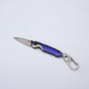 Brighten Blades Purple Rain Keychain Folding Knife (BB139) 1.65 in Satin 8Cr13MoV Spear Point Blade, Purple Handle