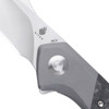 Kizer Grazioso (KI4572A1) 3.35" CPM-20CV Satin Drop Point Plain Blade, Gray Titanium Handle with a Black Carbon Fiber Inlay