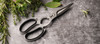 Felix Kitchen Shears (FEL263521)