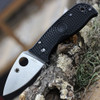 Spyderco LIL' Temperance 3 Lightweight (C69PBK3)- 2.92" VG-10 Satin Plain Blade, Black FRN Handle