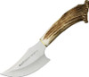 Muela Sabueso Stag Skinner (CISABUESO) 4.25" Stainless Steel Satin Trailing Point Plain Blade, Crown Stag Handle