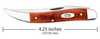 Case Medium Texas Toothpick 328910 Tru-Sharp Surgical Steel Long Clip Blade, Smooth Chestnut Bone Handle (610094 SS)